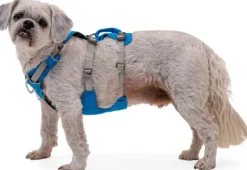 RuffWear Flagline Harness valjaat, harmaa| Valjaat