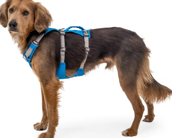 RuffWear Flagline Harness valjaat, harmaa| Valjaat