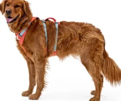 RuffWear Flagline Harness valjaat, harmaa| Valjaat