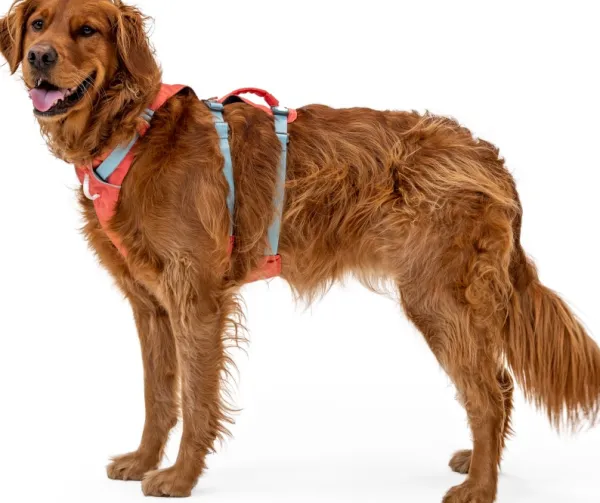 RuffWear Flagline Harness valjaat, harmaa| Valjaat