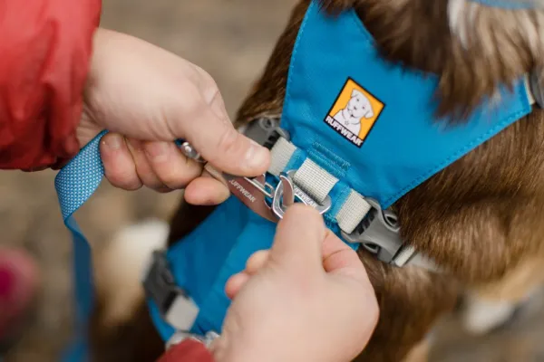 RuffWear Flagline Harness valjaat, harmaa| Valjaat