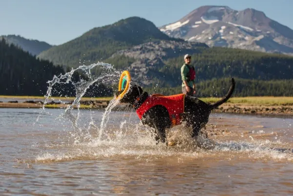 RuffWear Koiran Pelastusliivit^Float Coat koiran pelastusliivit, Red Sumac