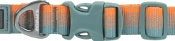 RuffWear Kaulapannat^Front Range Collar kaulapanta, Spring Fade