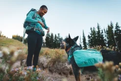 RuffWear Front Range Day Pack koiran reppu, harmaavihreä| Koiran Reput
