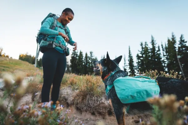 RuffWear Front Range Day Pack koiran reppu, harmaavihreä| Koiran Reput