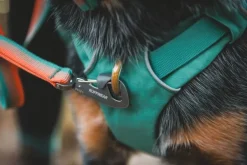 RuffWear Front Range Day Pack koiran reppu, harmaavihreä| Koiran Reput