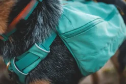 RuffWear Front Range Day Pack koiran reppu, harmaavihreä| Koiran Reput