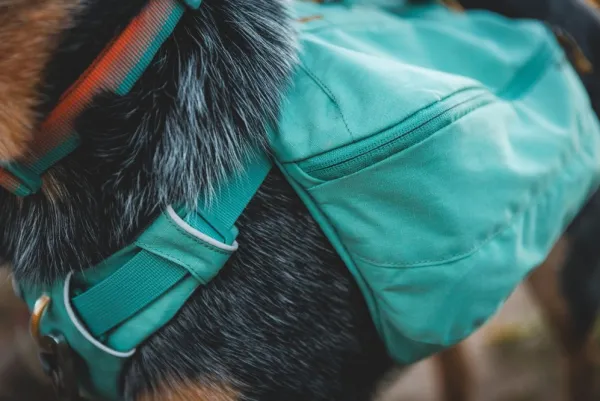 RuffWear Front Range Day Pack koiran reppu, harmaavihreä| Koiran Reput