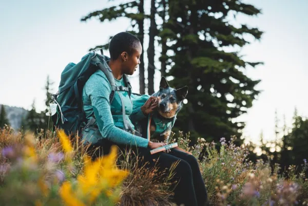 RuffWear Front Range Day Pack koiran reppu, harmaa| Koiran Reput