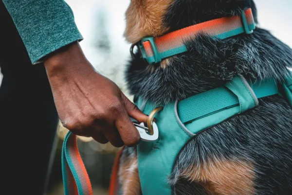 RuffWear Front Range Day Pack koiran reppu, harmaa| Koiran Reput