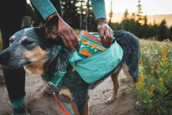 RuffWear Front Range Day Pack koiran reppu, harmaa| Koiran Reput
