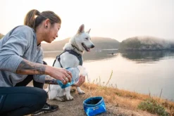 RuffWear Valjaat^Front Range Harness valjaat, tummanharmaa