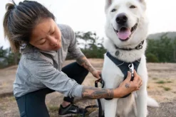 RuffWear Front Range Harness valjaat, Spring Mountains| Valjaat