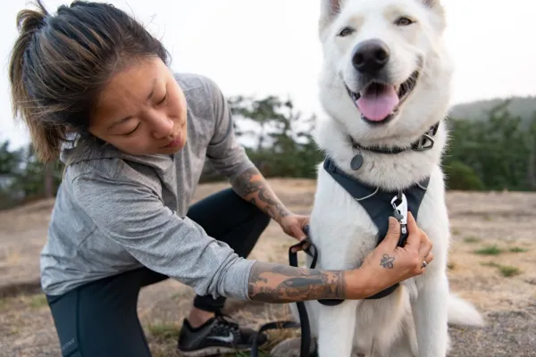 RuffWear Front Range Harness valjaat, Spring Mountains| Valjaat