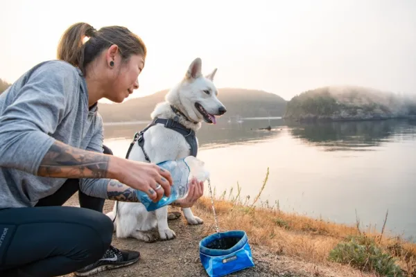 RuffWear Front Range Harness valjaat, Spring Mountains| Valjaat