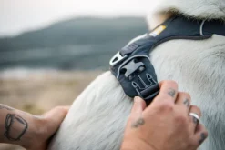 RuffWear Front Range Harness valjaat, Spring Mountains| Valjaat