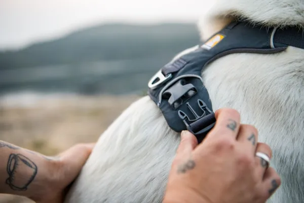 RuffWear Front Range Harness valjaat, Spring Mountains| Valjaat