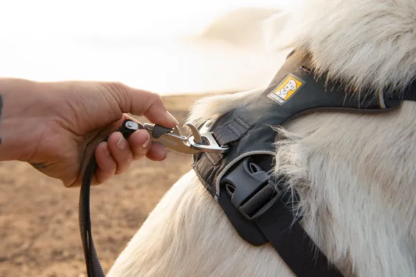 RuffWear Valjaat^Front Range Harness Blaze Orange XXS-S