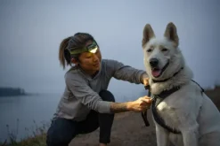 RuffWear Front Range Harness Blaze Orange L-XL| Valjaat