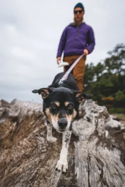 RuffWear Front Range Leash koiran talutushihna, Mountains Logo| Taluttimet