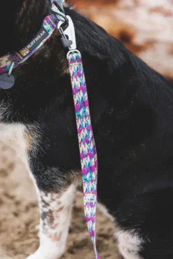 RuffWear Taluttimet^Front Range Leash koiran talutushihna, Wildflower