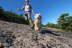 RuffWear Grip Trex 2-pack Obsidian Black| Koiran Tossut