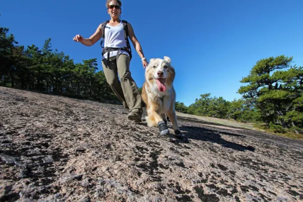 RuffWear Grip Trex 2-pack Obsidian Black| Koiran Tossut