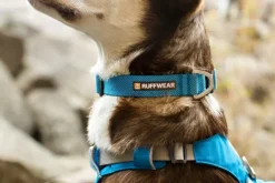 RuffWear Hi & Light Collar kaulapanta, harmaa| Kaulapannat