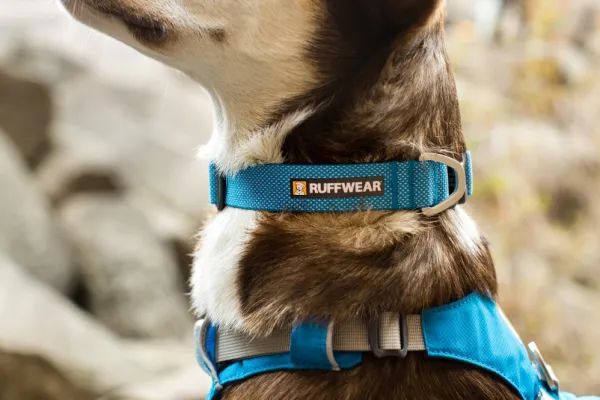 RuffWear Hi & Light Collar kaulapanta, harmaa| Kaulapannat