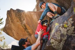 RuffWear Hitch Hiker Dog Backpack Carrier Basalt Gray| Koiran Reput