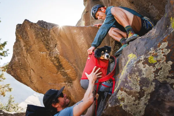 RuffWear Hitch Hiker Dog Backpack Carrier Basalt Gray| Koiran Reput