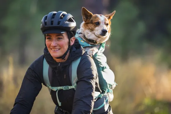 RuffWear Hitch Hiker Dog Backpack Carrier Basalt Gray| Koiran Reput