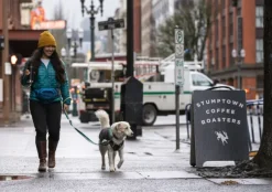 RuffWear Home Trail Hip Pack vyölaukku, Heliotrope Purple| Koirankakkapussit