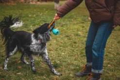 RuffWear Huck-a-Cone Toy Purple Orchid| Aktivointilelut