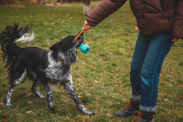 RuffWear Huck-a-Cone Toy Purple Orchid| Aktivointilelut