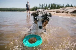RuffWear Hydro Plane Toy Tangelo Orange| Aktivointilelut