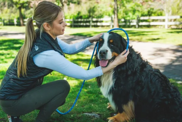 RuffWear Just-a-Cinch Leash koiran talutushihna, Obsidian Black| Kaulapannat