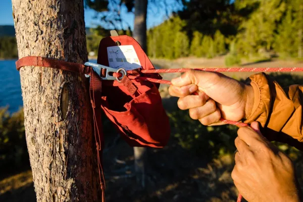 RuffWear Knot-a-Hitch juoksunaru retkelle, punainen| Taluttimet