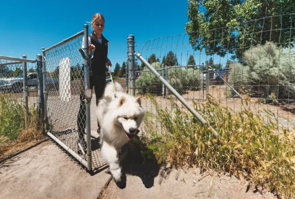 RuffWear Knot-a-Long Leash koiran talutushihna, Blue Pool| Taluttimet