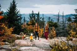 RuffWear Lumenglow Hi-Viz Jacket huomiotakki, oranssi/keltainen| Liivit