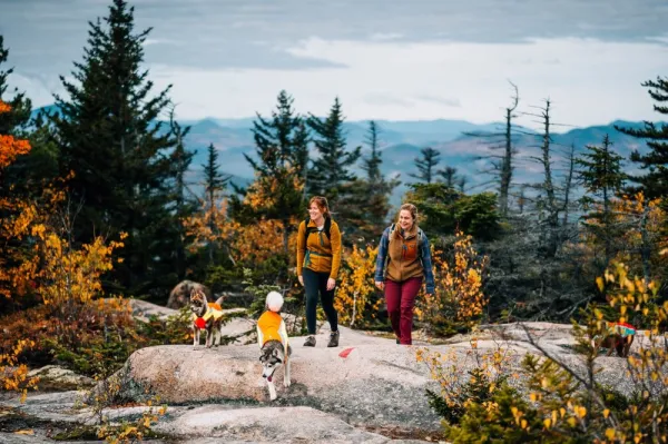 RuffWear Lumenglow Hi-Viz Jacket huomiotakki, oranssi/keltainen| Liivit