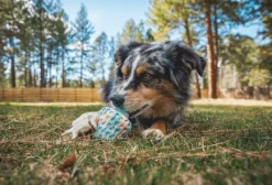 RuffWear Morel koiran lelu, Gray Sky| Aktivointilelut