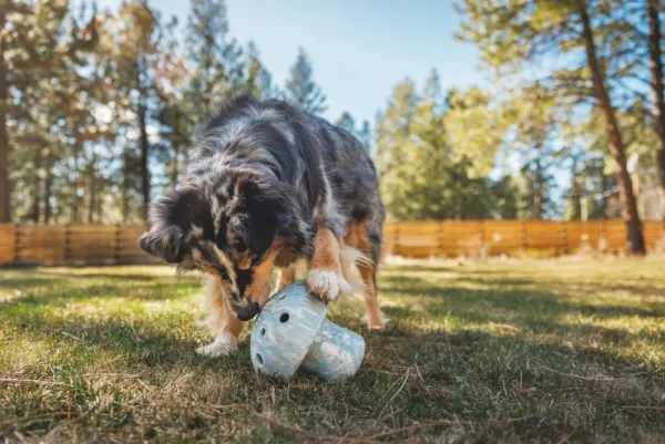 RuffWear Porchini koiran lelu, Blue Prism| Aktivointilelut