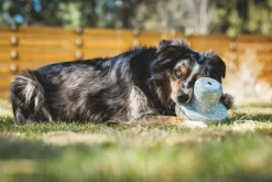 RuffWear Porchini koiran lelu, Blue Prism| Aktivointilelut