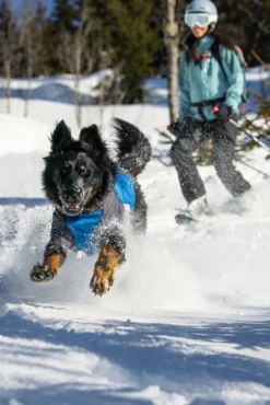 RuffWear Powder Hound Jacket koiran talvitakki, Blue Pool| Talvitakit