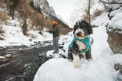 RuffWear Quinzee Insulated Jacket koiran talvitakki, River Rock Green| Talvitakit