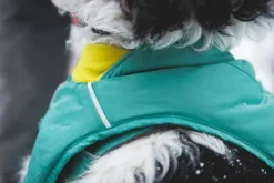 RuffWear Quinzee Insulated Jacket koiran talvitakki, River Rock Green| Talvitakit