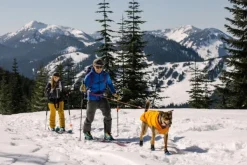 RuffWear Quinzee Jacket koiran takki, oranssi| Talvitakit