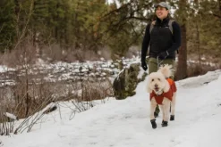 RuffWear Koiran Tossut^Summit Trex koiran kengät, 2kpl, Twilight Gray