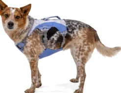 RuffWear Valjaat^Swamp Cooler Harness viilentävät valjaat, pastellinsininen